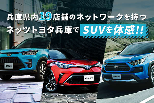 bn_w606_h403_news (1)