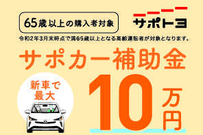 サポカー補助金小