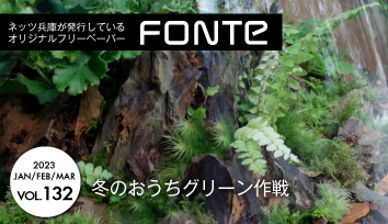 202201フォンテ